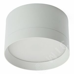 Светильник ДПО-25w GX70 без лампы белый HL370