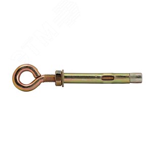 Анкерный болт с кольцом М10 12х70 PR08.3943