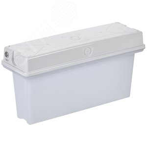 Светильник авар. ССА1010 1ч универс. IP65 IEK LSSA0-1010-1-65-K01