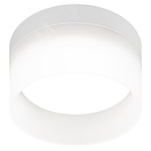 Светильник настенно-потолочный спот OL30 WH GX53 белый Б0056359