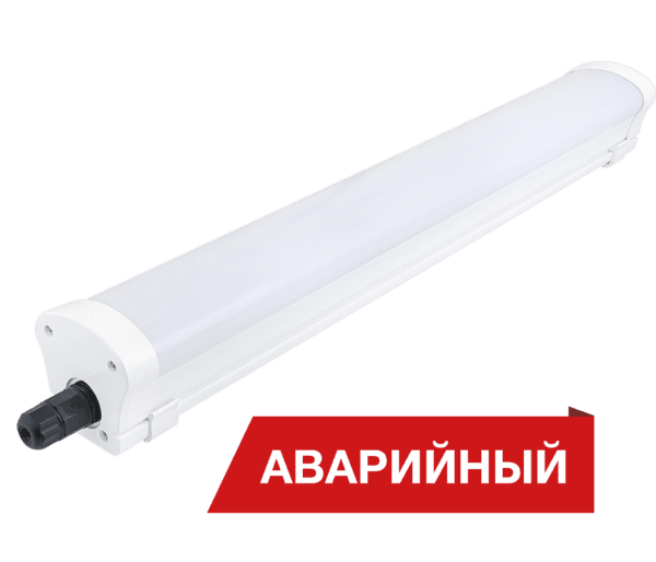 Diora LPO/LSP SE 30/3000 Mini-12 opal 6K T A купить