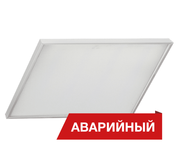 Diora Office Slim 38/4900 prism 3K A купить