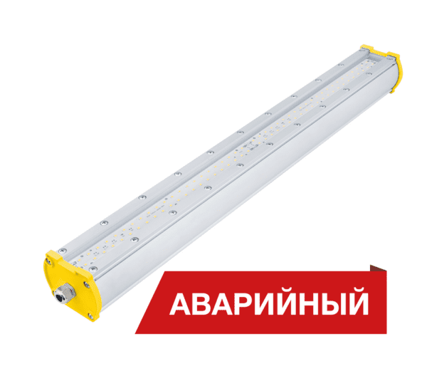 Diora Piton 2Ex 40/5400 Д прозрачный 4K А